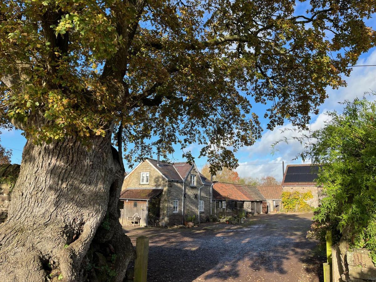 The Bothy At Oak Farm Apartment Usk Bagian luar foto