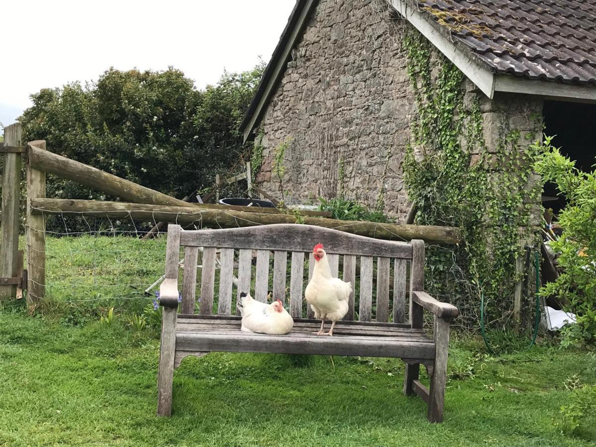 The Bothy At Oak Farm Apartment Usk Bagian luar foto